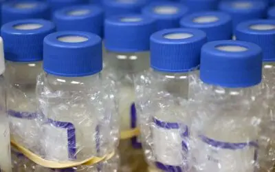 Packaged Laboratory Bottles