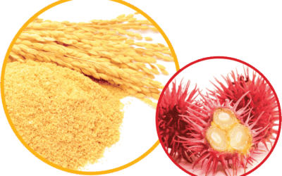 Wheat and passion fruit