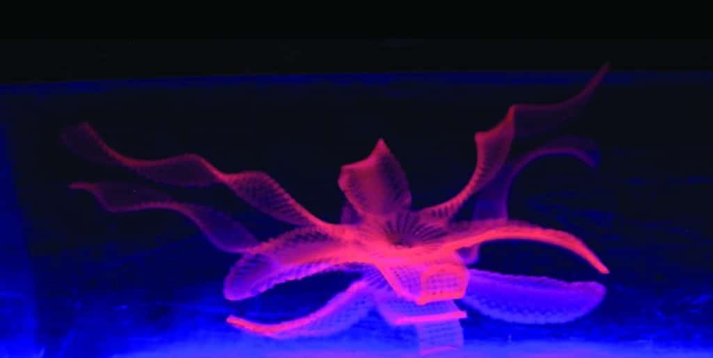 Taking 3D to the Next Dimension: 4D Printing