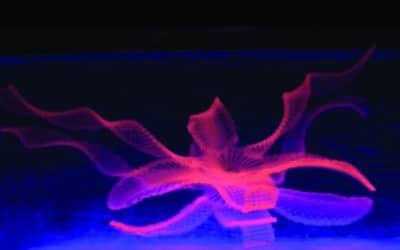 Taking 3D to the Next Dimension: 4D Printing