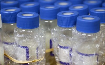 Packaged Laboratory Bottles