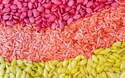 Colorful seeds texture using as background