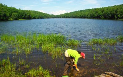 axalta-partners-with-stroud-water-research-center