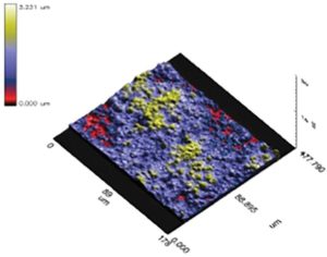 FIGURE 4—(a) 3D Surface profile of the hard, matte PUD vs a PUD with 1.5 % pyrogenic silica (b). 