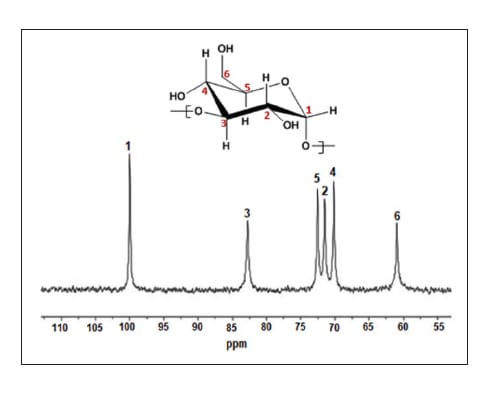 Enzymatic Polymerization Note