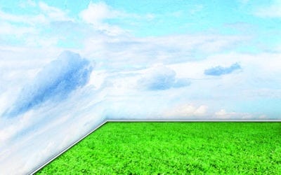 Green room interior with grass floor and sky walls clouds