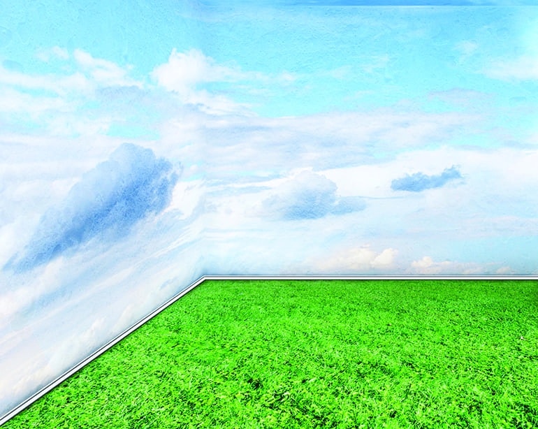 Green room interior with grass floor and sky walls clouds