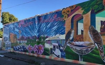 Graffiti Resource Council®: Building Partnerships
