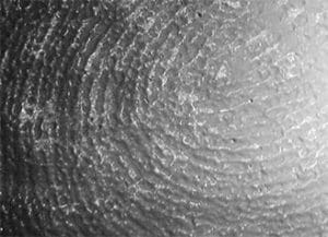 FIGURE 3—Magnification of telegraphing of a fingerprint. The surface should be smooth.