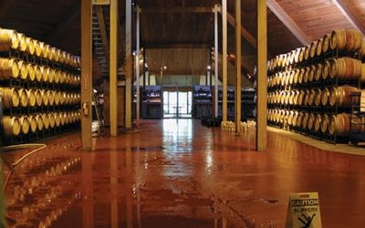 Corrosion Prevention in Food Processing Facilities