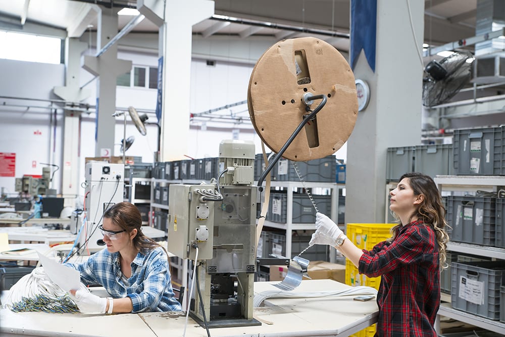 Young Women Working at Factory