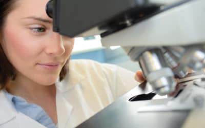 high powered microscopes