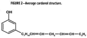 CNSL-Cashew Feature Figure 2