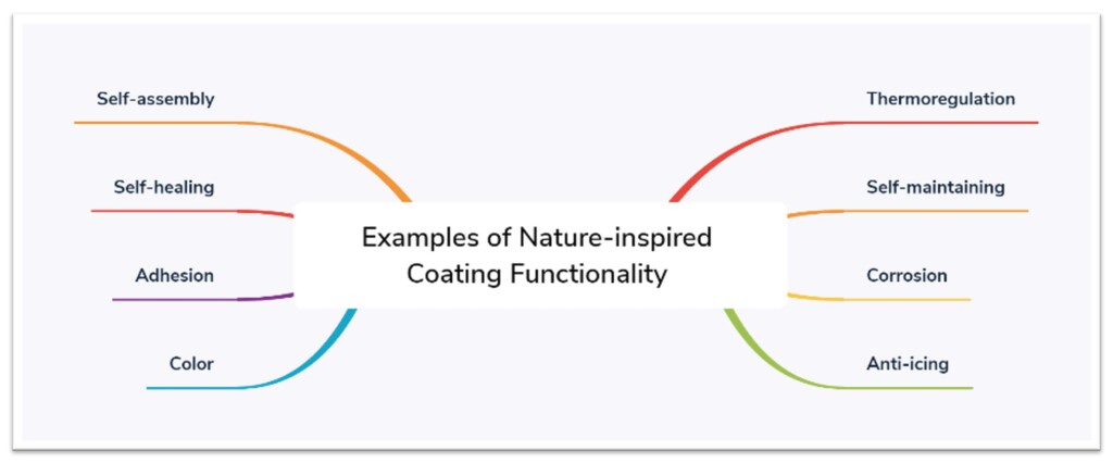 Inside Innovation Graph