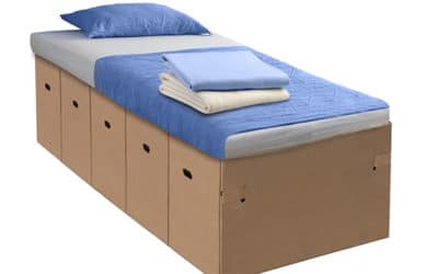 carboard bed