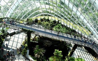 Sustainability