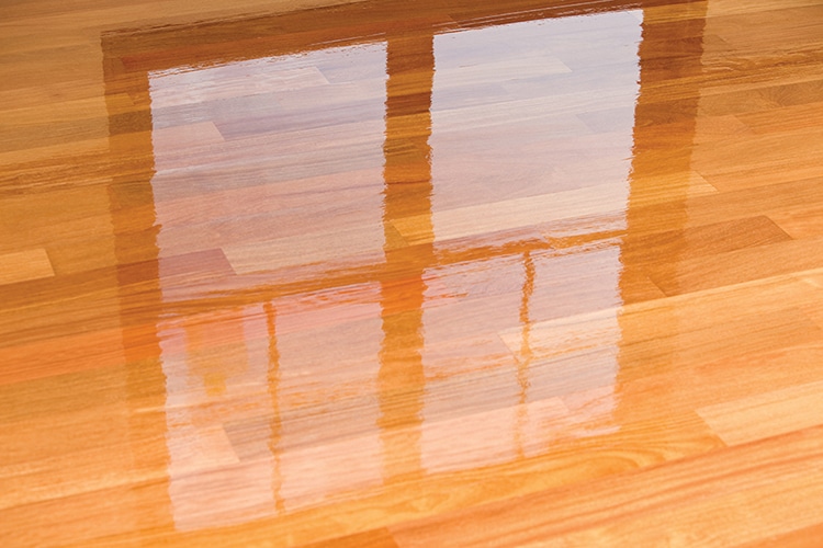 Wet Polyurethane on New Hardwood Floor with Window Reflection