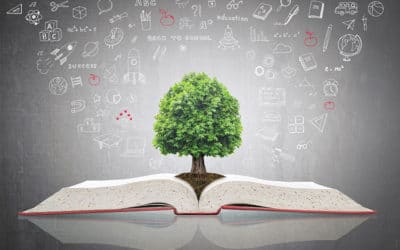 Tree of knowledge growing on open textbook with doodle for educational investment and success concept