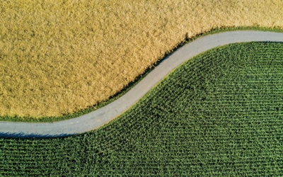 Aerial view of road through fields