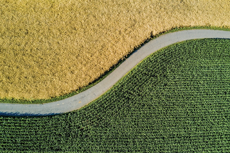 Aerial view of road through fields