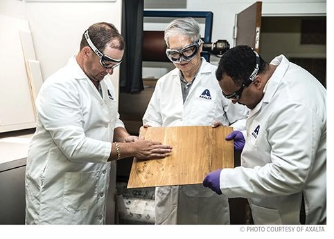 scientists examining a piece of wood