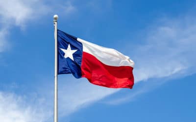 Texas state flag