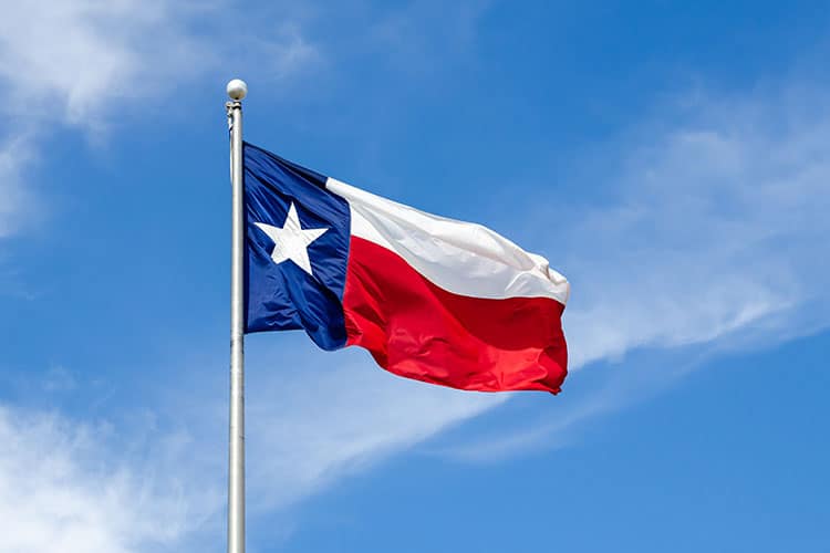 Texas state flag