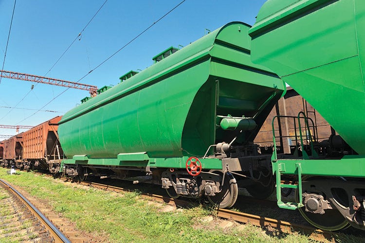 Cargo Train